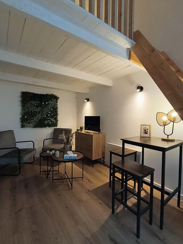 Duplex - 15 m² - 1 pièce