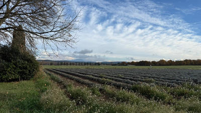 Maison - 420 m² - 8 pièces