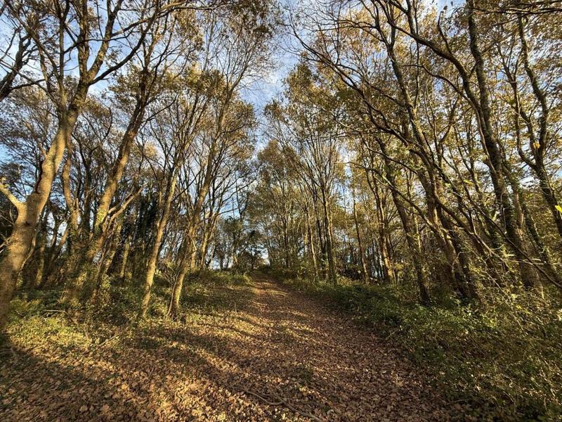 Terrain - 15 500 m²