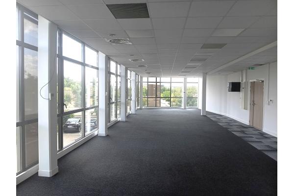 Bureau - 146 m²