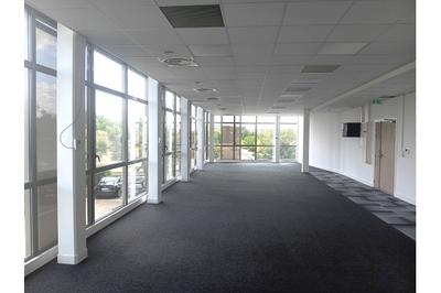 Bureau - 146 m²