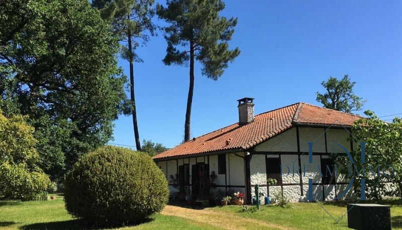 Maison ancienne - 160 m² - 9 pièces