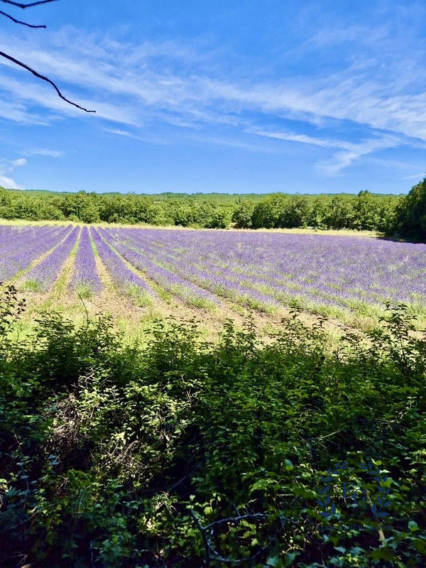 Villa - 120 m² - 5 pièces