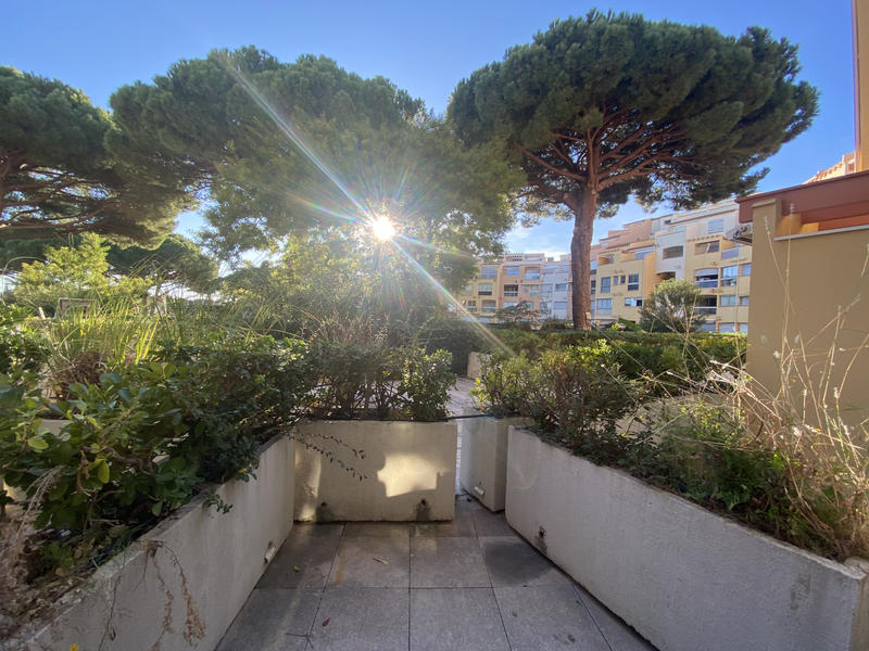 Appartement - 24 m² - 1 pièce