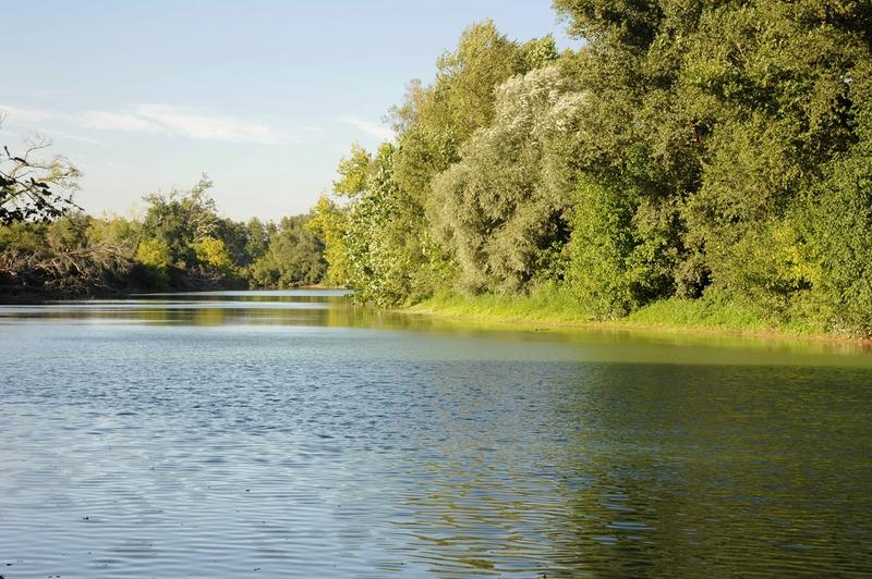 Découverte des secrets de l'Adour "Sur les trames vertes et bleues entre Préchacq et Pontonx"