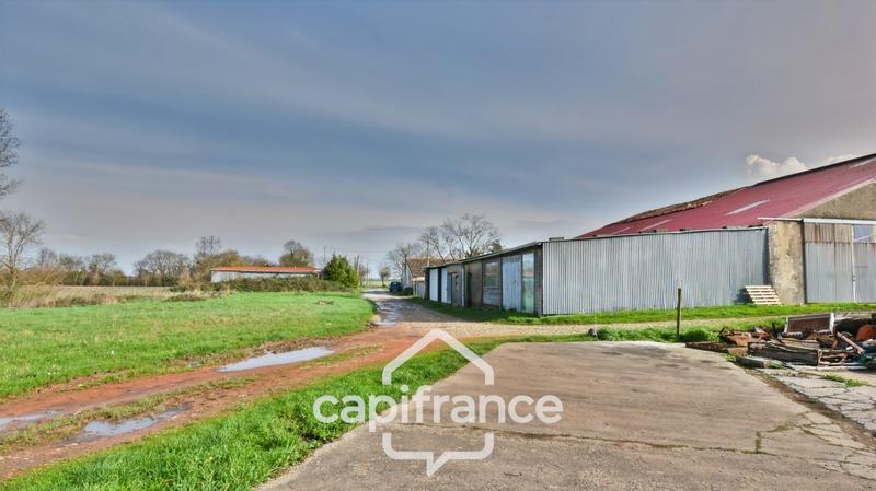 Hangar - 592 m² - 5 pièces