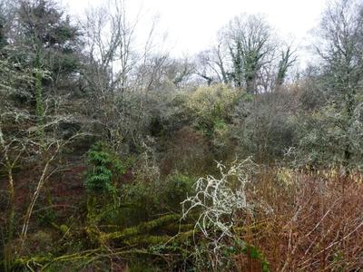 Terrain agricole - 13 922 m²