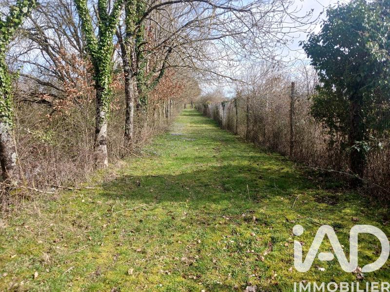 Terrain - 32 204 m²