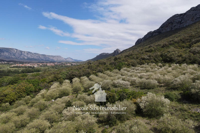 Terrain agricole - 45 557 m²