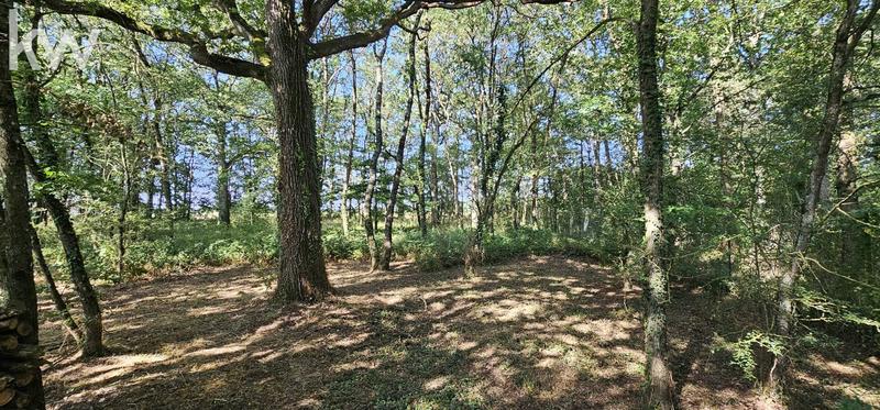 Maison chambre d'hôtes - 424 m² - 10 pièces