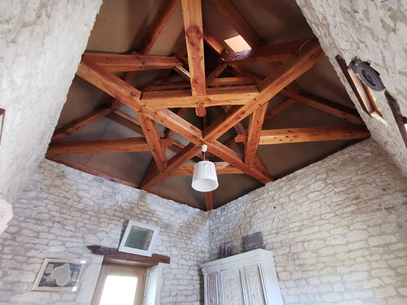 Maison - 549 m² - 12 pièces