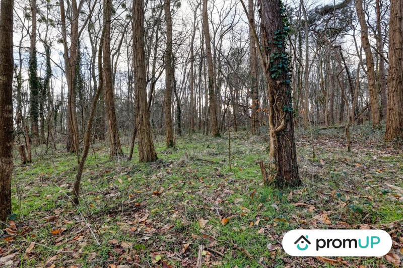 Terrain de loisirs - 770 m²