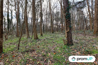 Terrain de loisirs - 770 m²