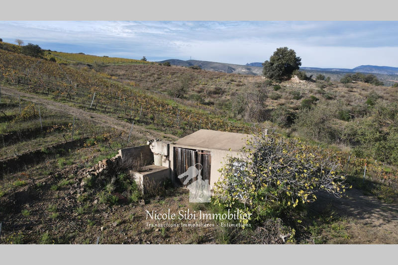 Terrain agricole - 40 428 m²