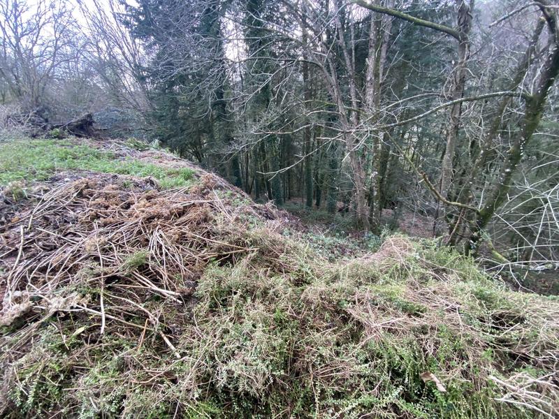 Terrain agricole - 1 155 m²