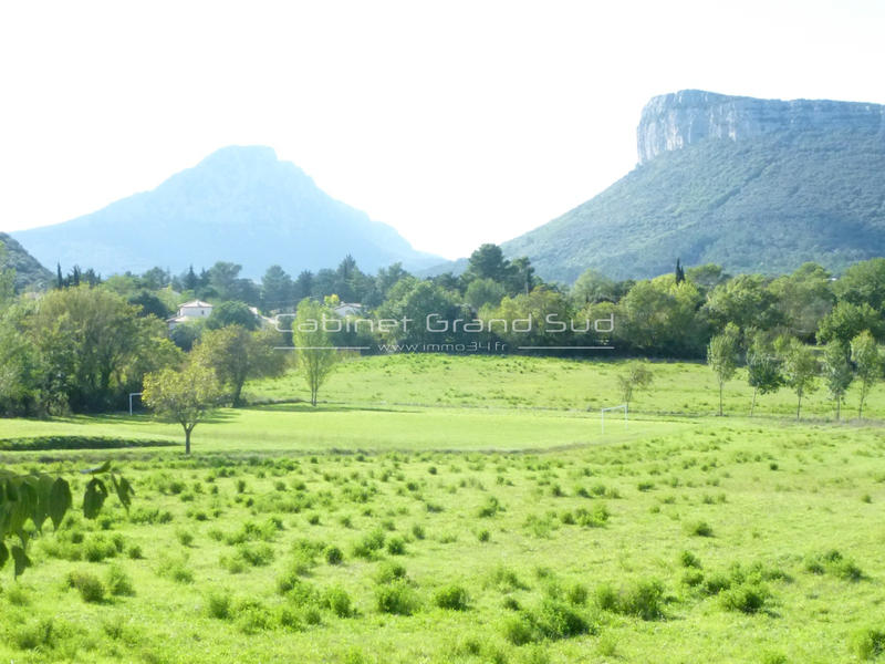 Maison - 38 m² - 3 pièces