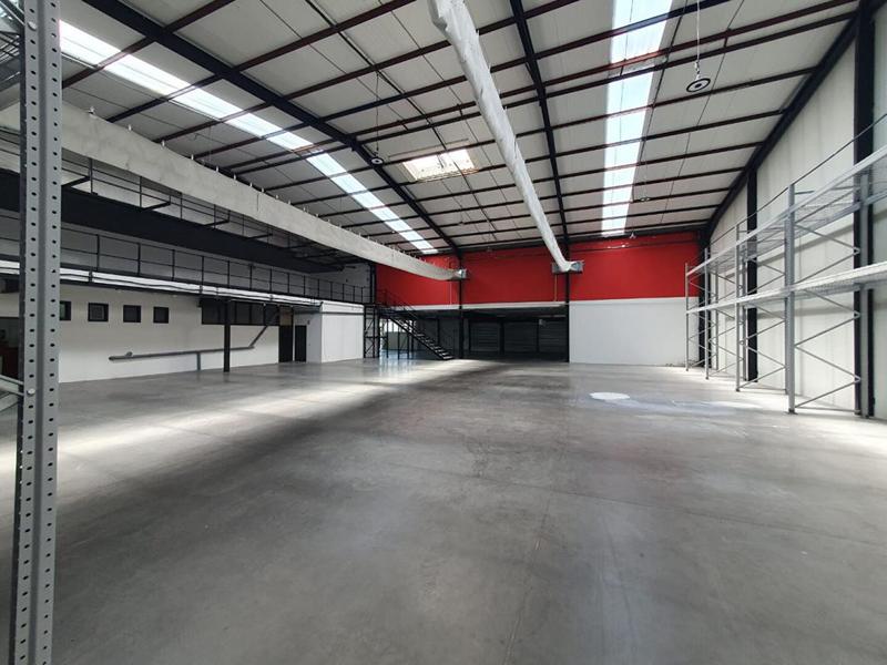 Local commercial - 790 m²