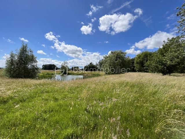 Maison de domaine équestre - 800 m² - 25 pièces