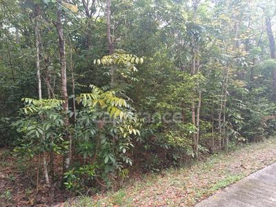 Terrain constructible - 2 000 m²