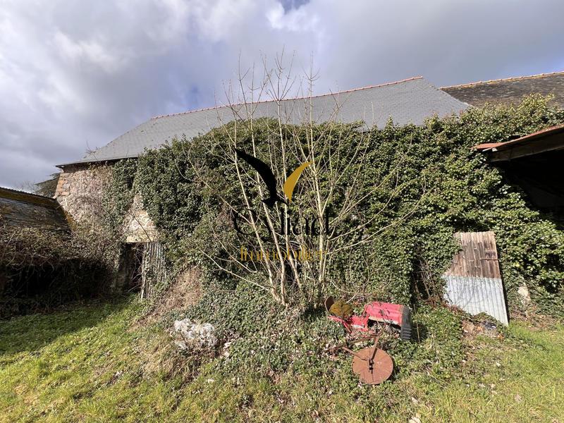 Maison ancienne - 400 m² - 8 pièces