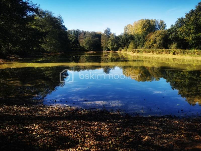 Terrain de loisirs - 26 062 m²