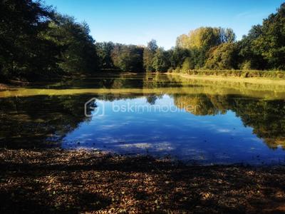 Terrain de loisirs - 26 062 m²