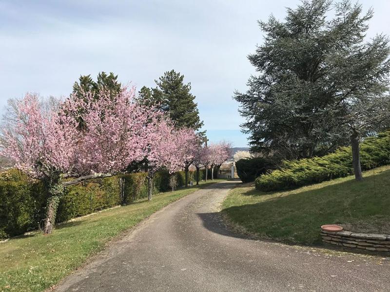 Villa - 280 m² - 9 pièces