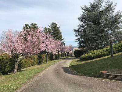 Villa - 280 m² - 9 pièces