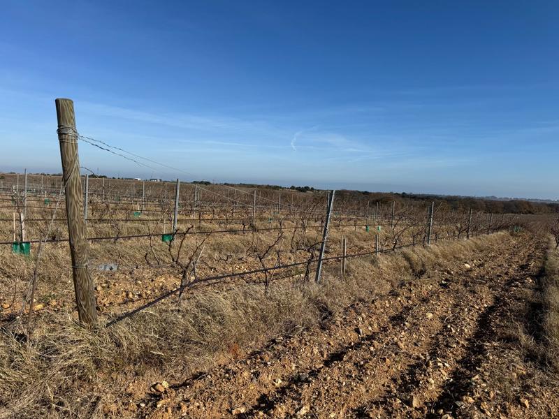 Château - 1 497 m² - 67 pièces