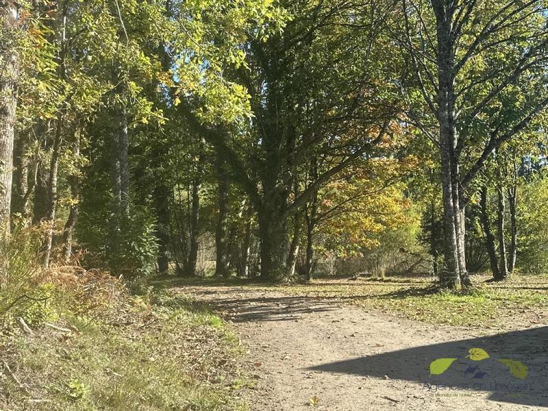 Propriété - 65 m²