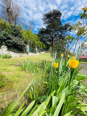 Maison - 193 m² - 8 pièces