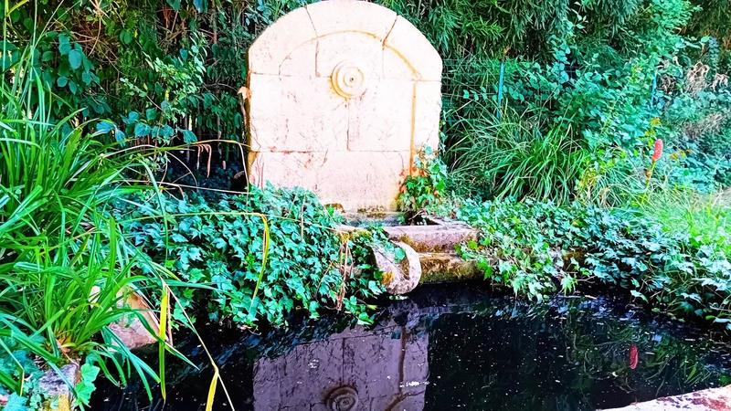 Maison - 262 m² - 7 pièces