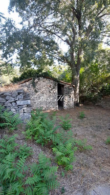 Appartement - 90 m² - 3 pièces