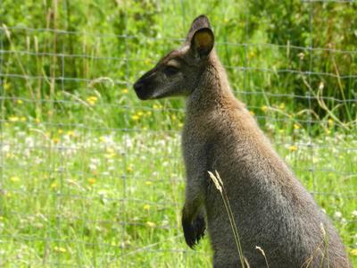 La Réserve Exotique