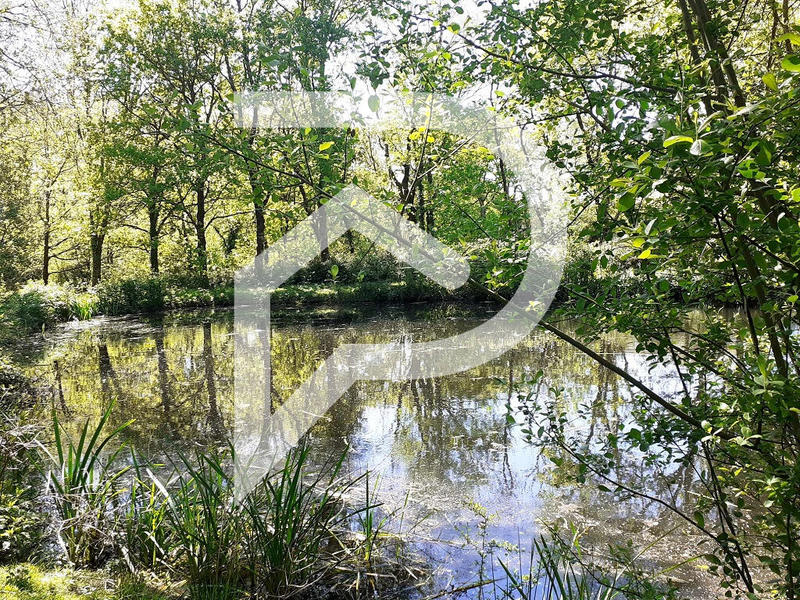 Terrain de loisirs - 2 225 m²