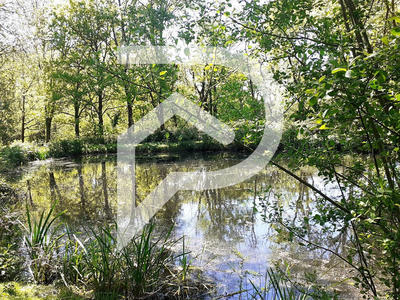 Terrain de loisirs - 2 225 m²