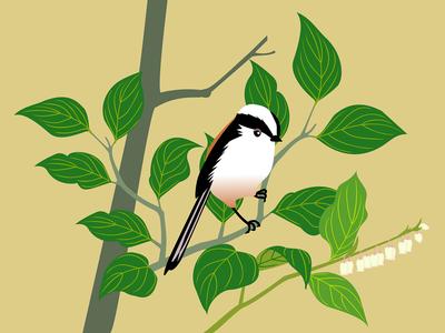 Festival déclic nature