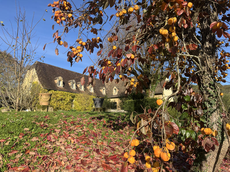 Maison - 420 m² - 14 pièces