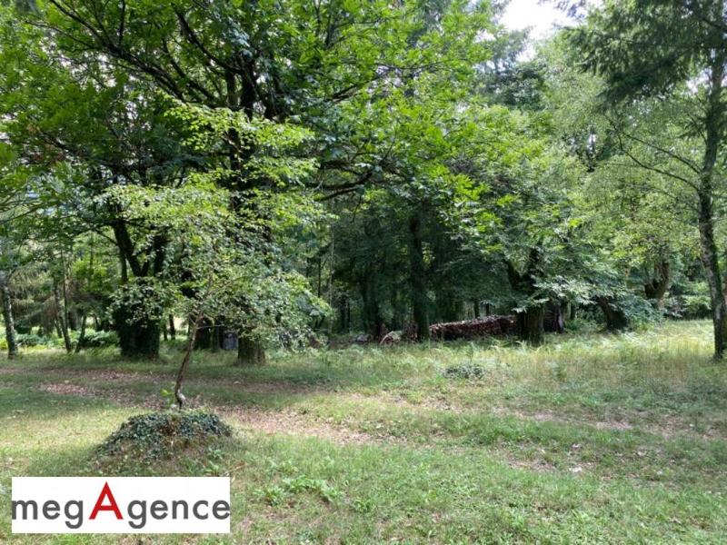 Terrain constructible - 2 384 m²