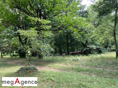 Terrain constructible - 2 384 m²
