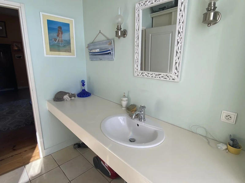 Viager - Maison - 232 m² - 7 pièces