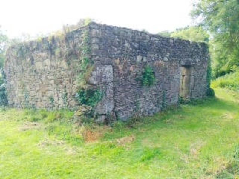 Longère - 100 m² - 1 pièce