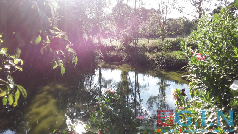 Maison - 220 m² - 9 pièces