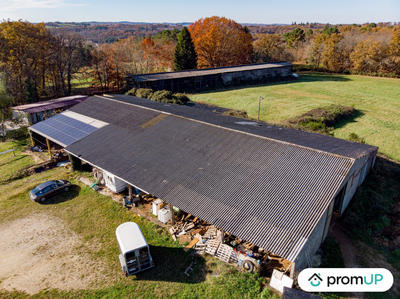 Maison - 260 m² - 6 pièces