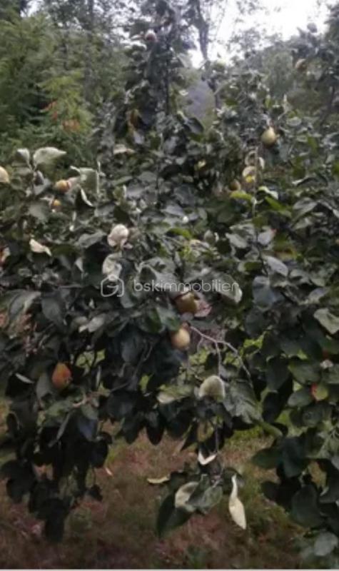 Terrain de loisirs - 11 265 m²