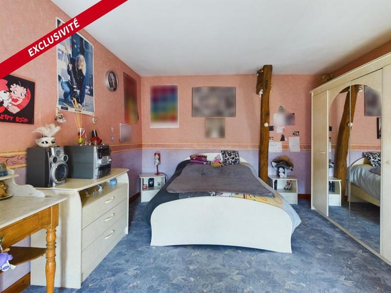 Maison ancienne - 207 m² - 9 pièces