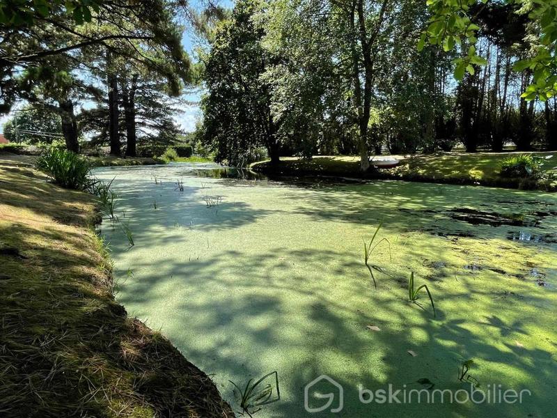 Maison - 156 m² - 6 pièces