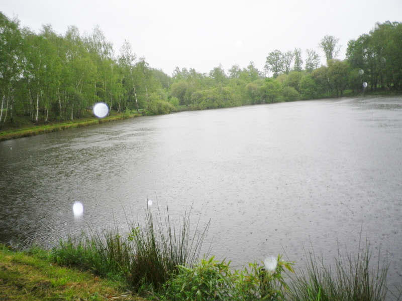 Terrain - 32 200 m²