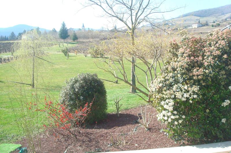 Maison - 264 m² - 7 pièces