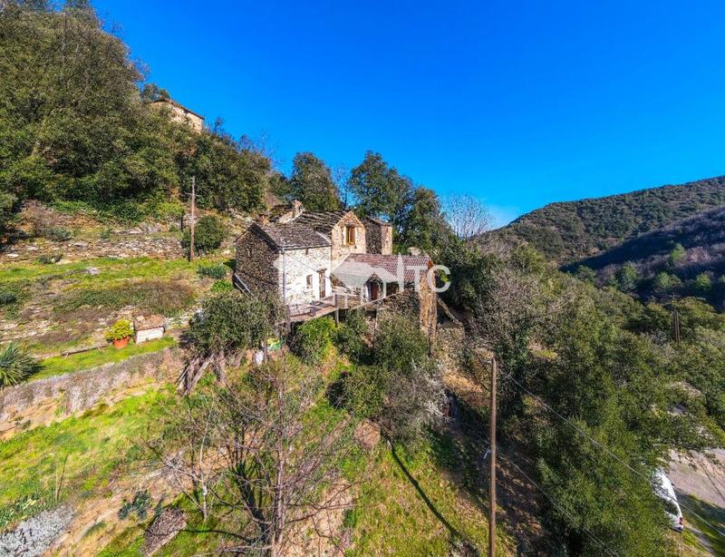 Mas - 78 m² - 7 pièces